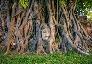 Meraviglie della Thailandia