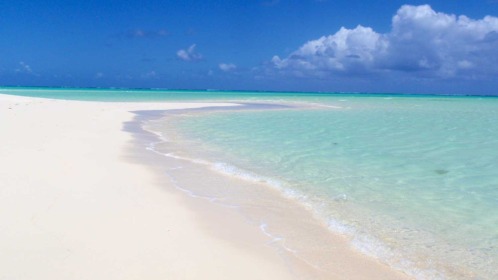 Parrot Cay Turks & Caicos