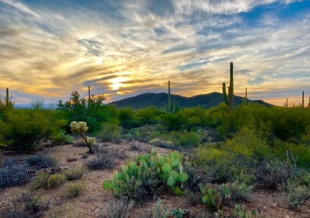 The Wild West