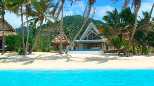 Little Polynesian Cook Little Polynesian Cook