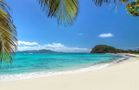 caraibi