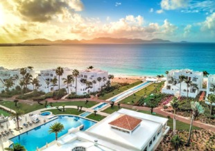 aurora anguilla