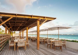 aurora anguilla 4