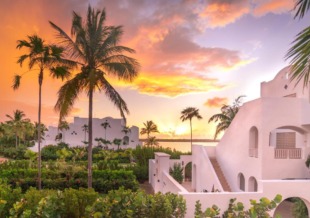 aurora anguilla 6