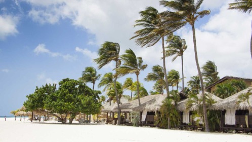 Manchebo Beach Resort and Spa Aruba