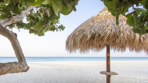 Manchebo Beach Resort and Spa Aruba
