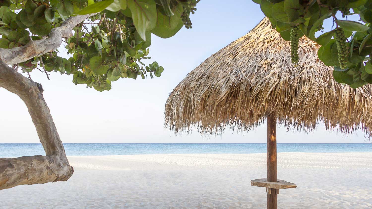 Manchebo Beach Resort and Spa Aruba Manchebo Beach Resort and Spa Aruba