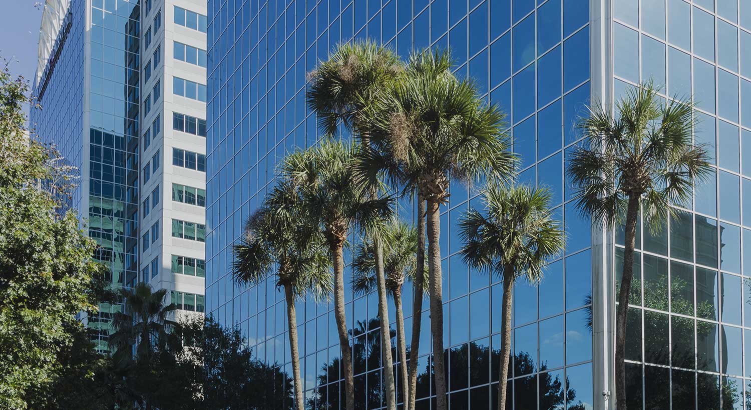 Orlando Orlando