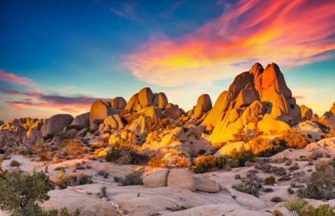Joshua Tree National Park in California – Tour Parchi e Città dell’Ovest