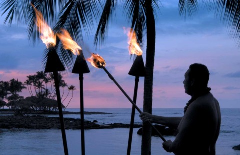 Fairmont Orchid