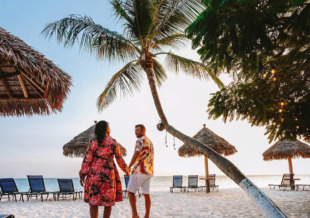 22090993_ImageLargeWidth