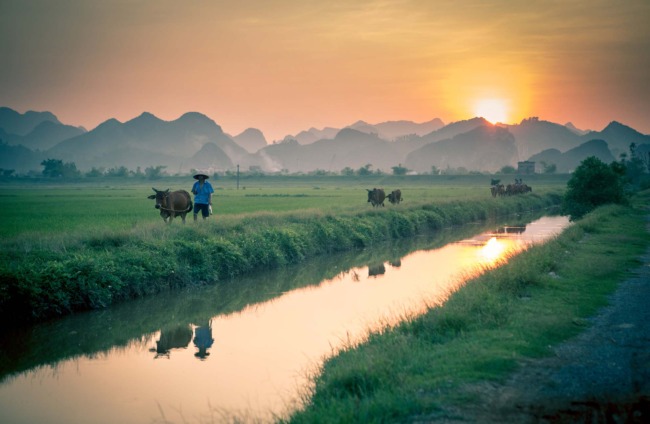 vietnam e cambogia