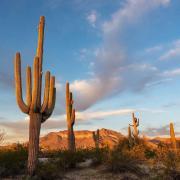 WEST BY SOUTHWEST
