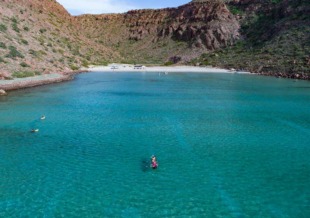 Baja Adventure Isla-Espiritu-Santo Baja Adventure