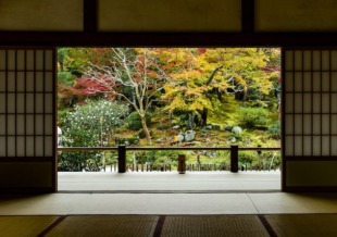 suyash-agrawal-Vz8qzJGhkG0-unsplash