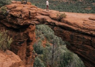 National Park Explorer