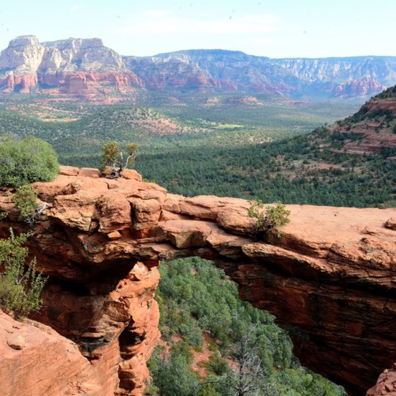 National Park Explorer