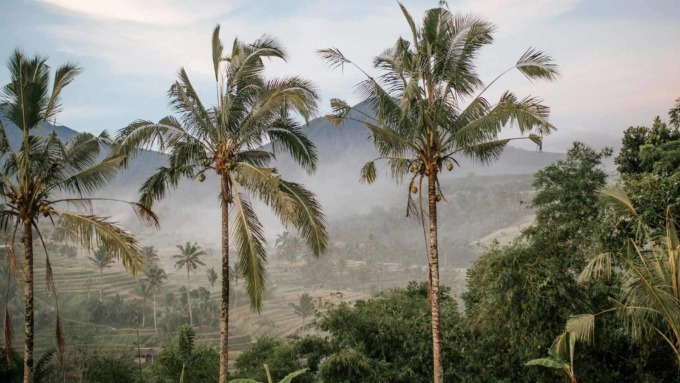 Giappone e Bali