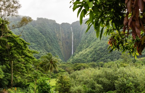 Big Island