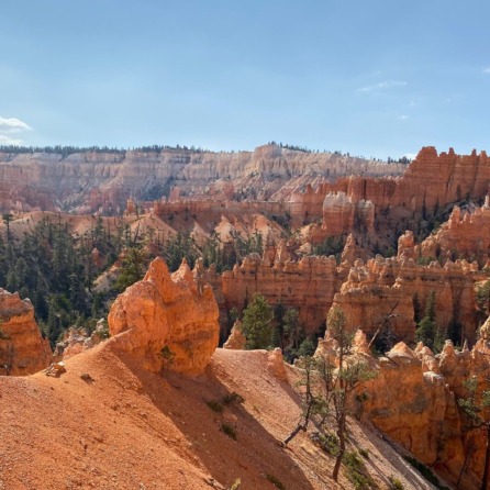 Western Treasures