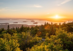 best of New England best of New England