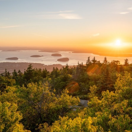 best of New England