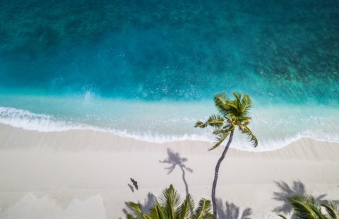 Dubai e Maldive