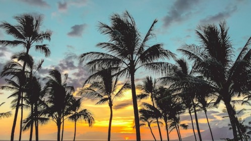 maui