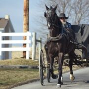 Amish - Tour Washington & Philadelphia