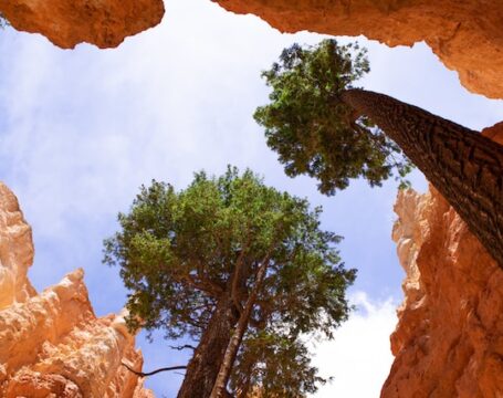 Bryce Canyion - Tour Deserti dell'Ovest