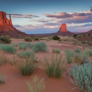 Tour western experience