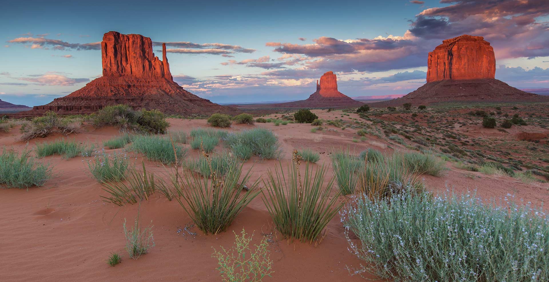 Tour western experience