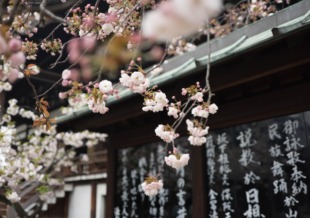 Kyoto