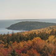 magnifico canada