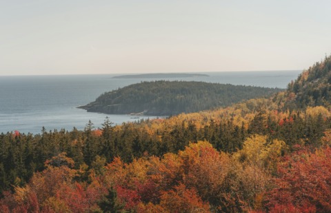 magnifico canada