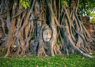 ayutthaya thailandia grand tour ayutthaya
