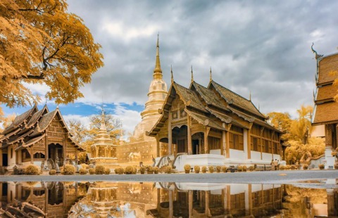 golden siam