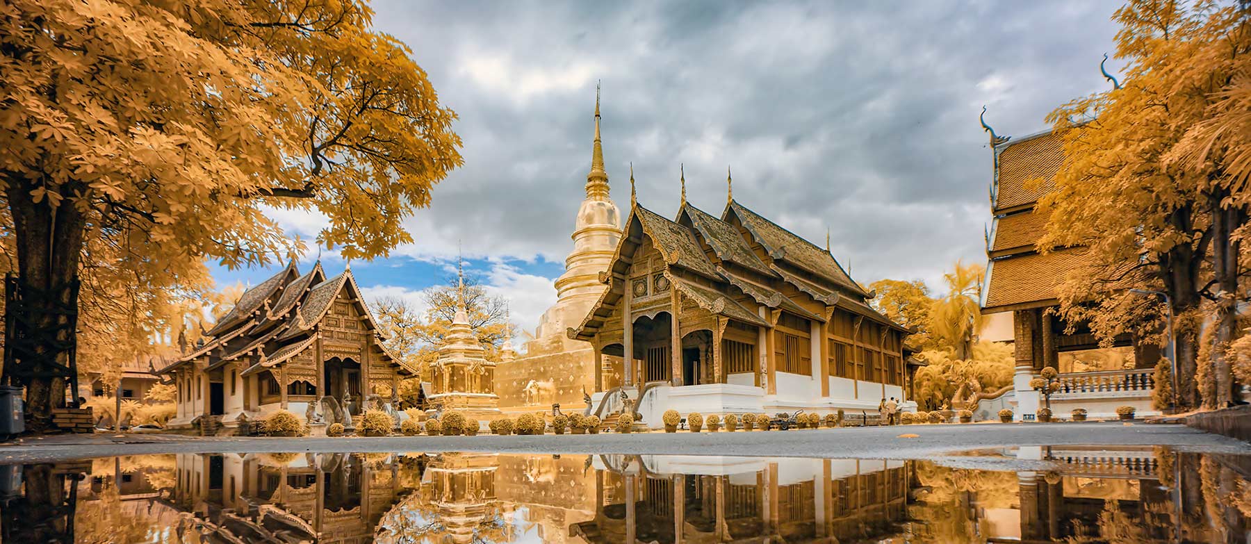golden siam