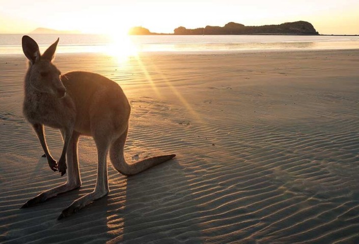 australia-1