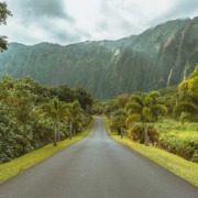 giappone e hawaii
