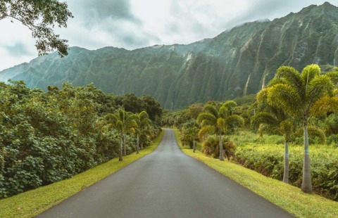 giappone e hawaii