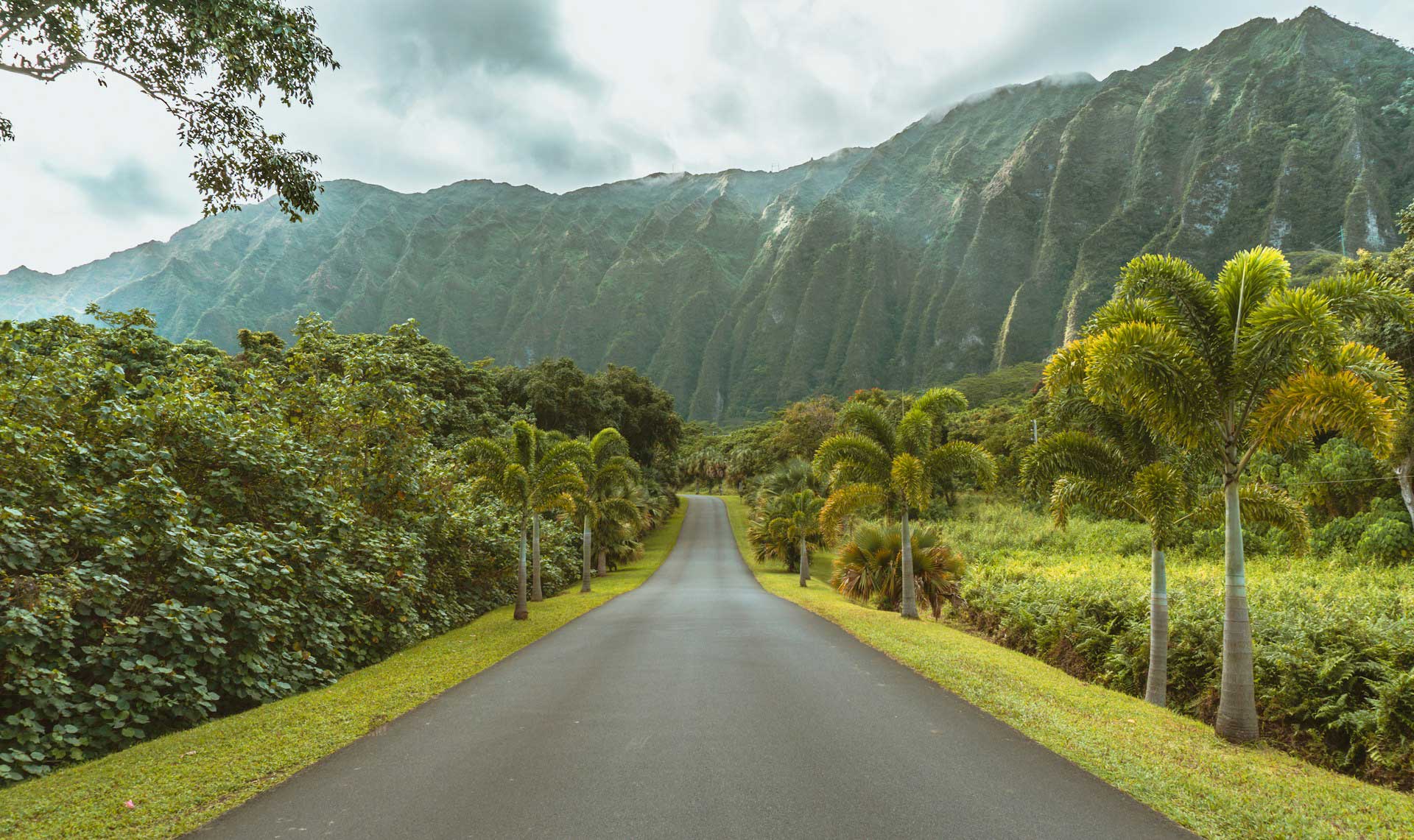 giappone e hawaii
