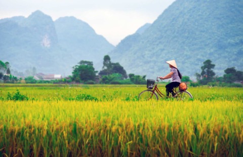 Paesaggio vietnamita nel tour Vietnam e Maldive