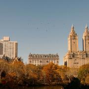 the big apple