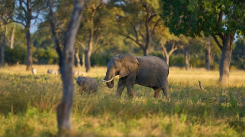 Sudafrica e Victoria Falls
