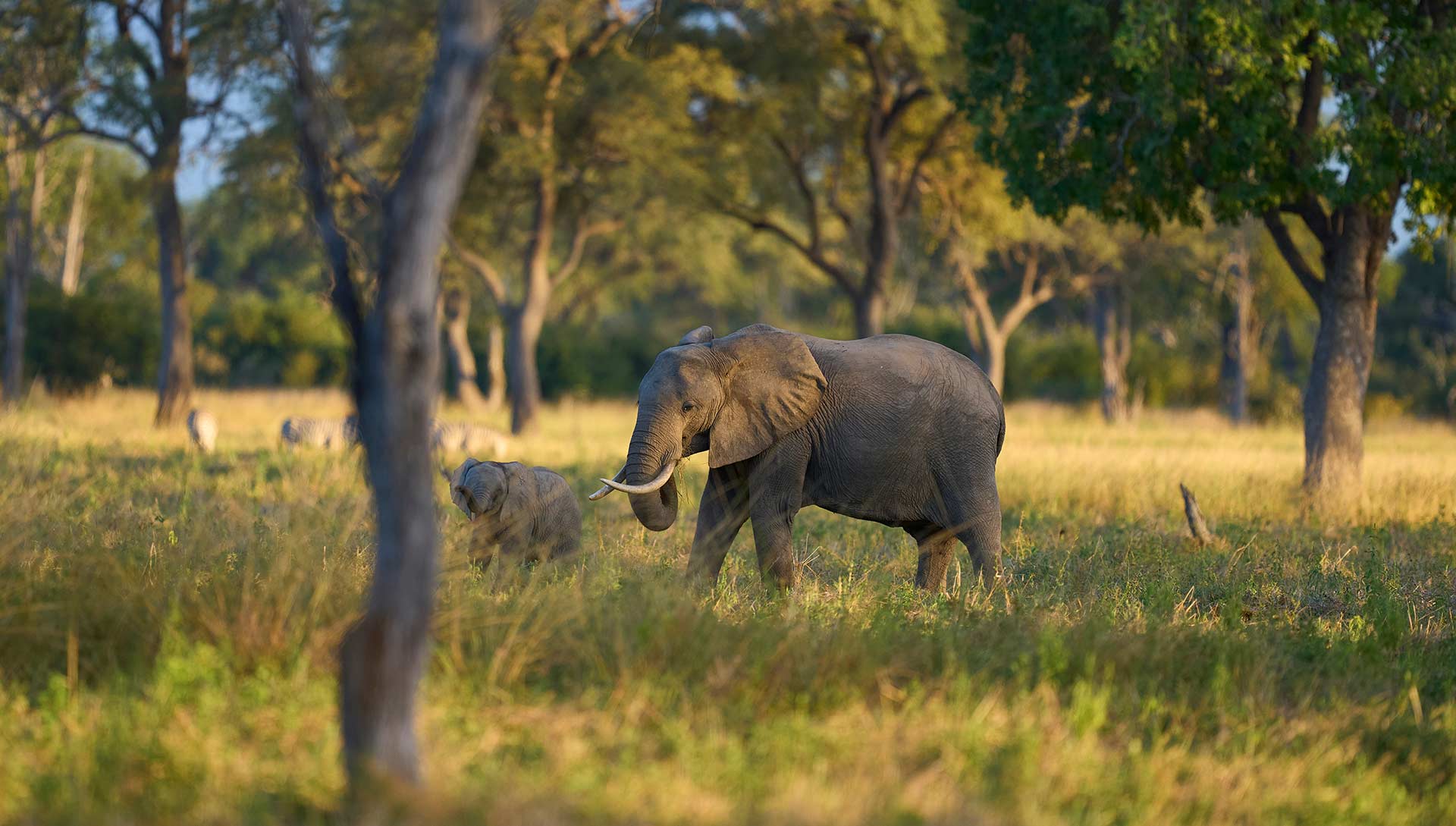 Sudafrica e Victoria Falls