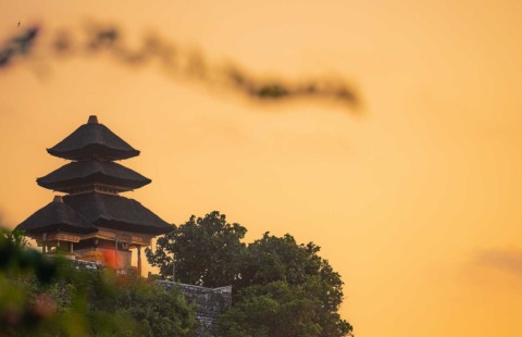 Bali discovery