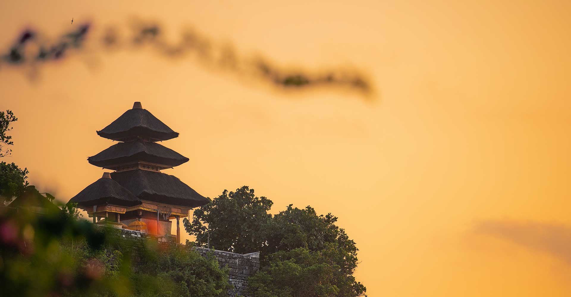 Bali discovery