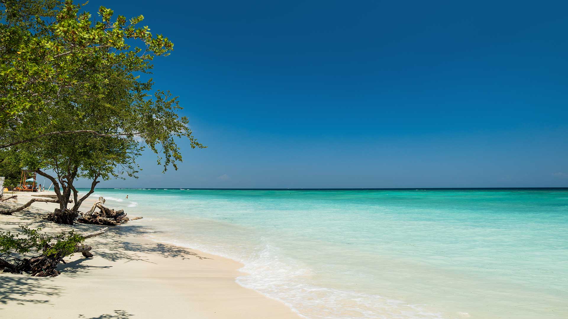 bali e gili