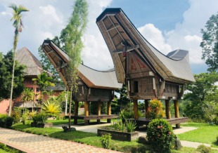 sulawesi